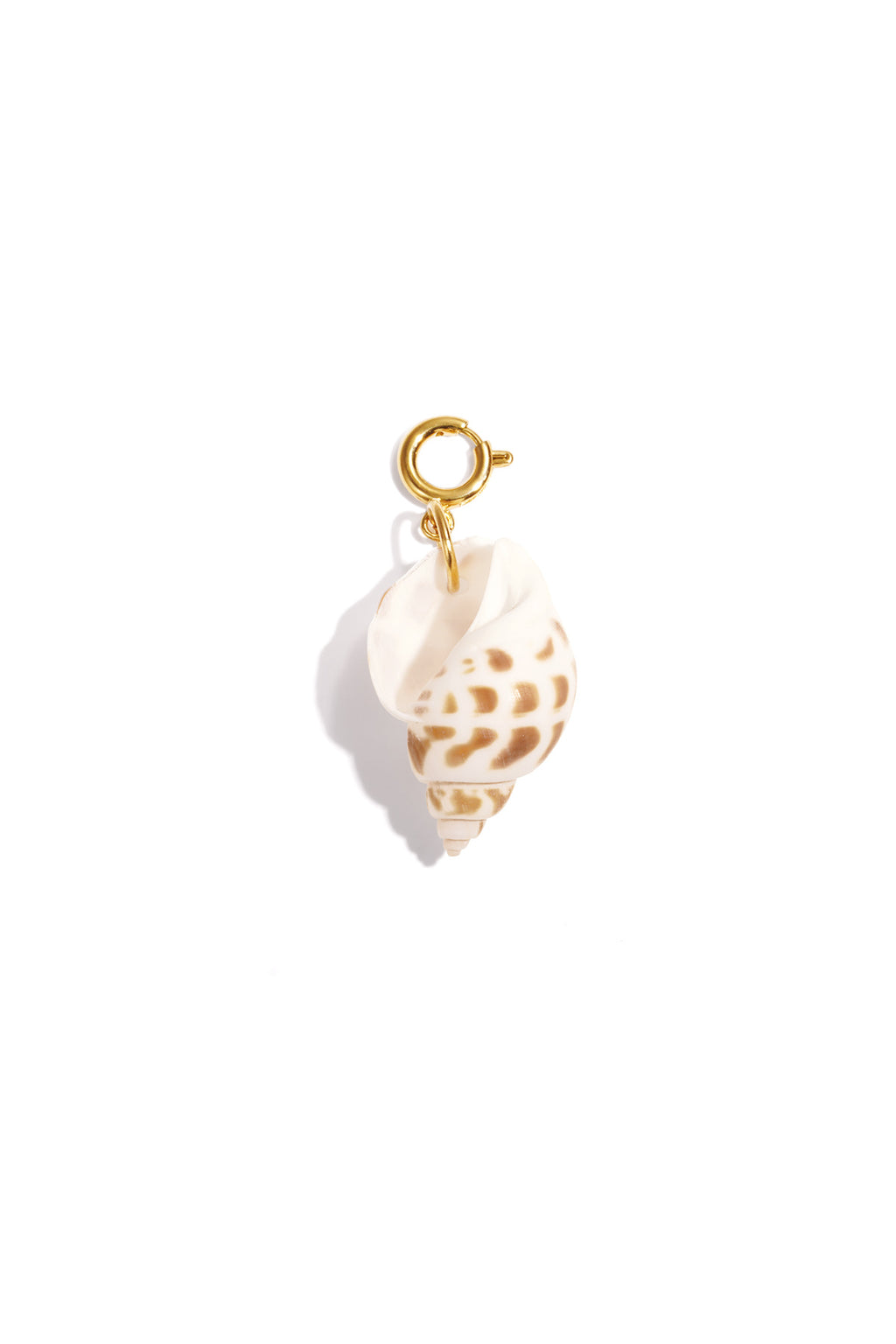 Schilpad shell bedel
