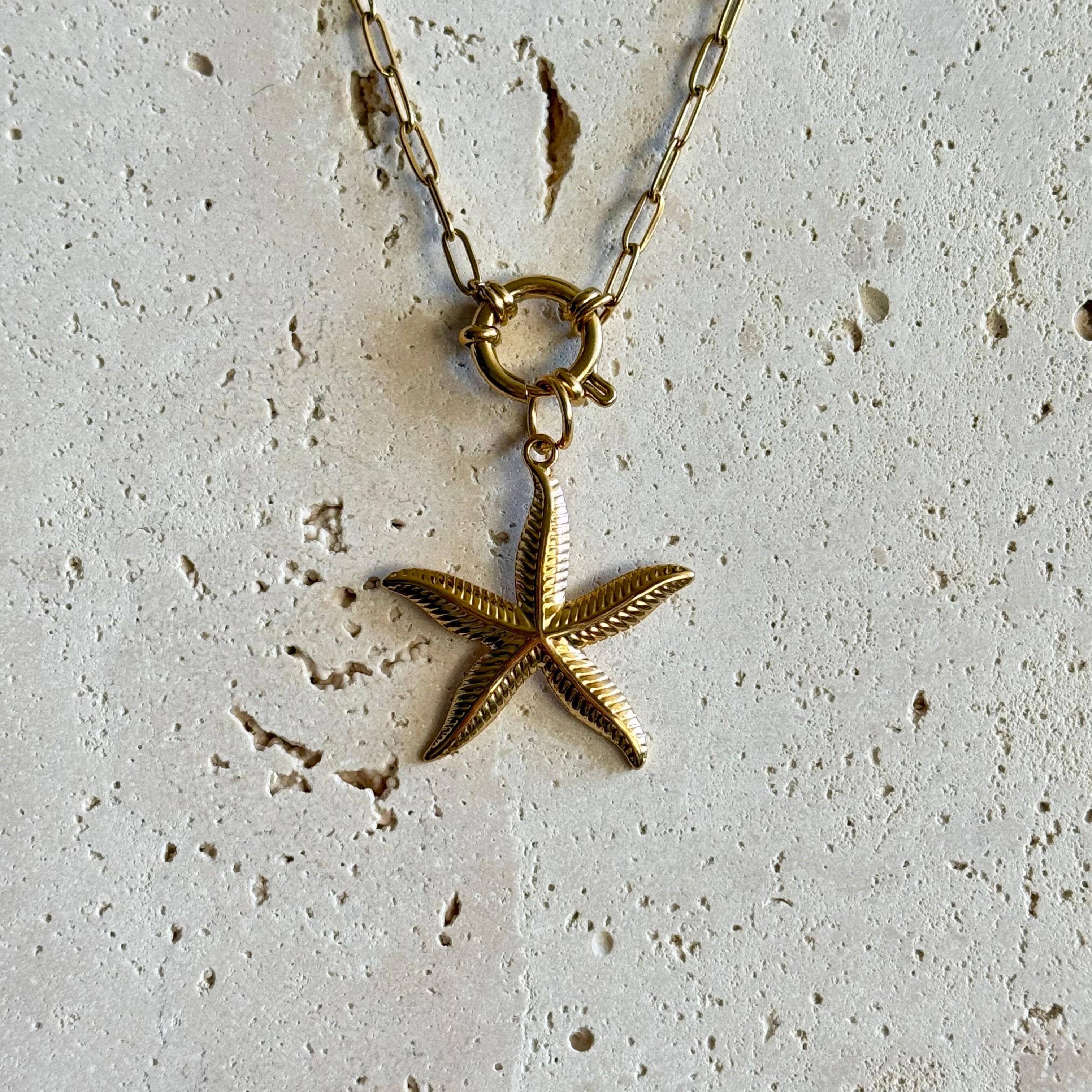 Beach starfish bedel