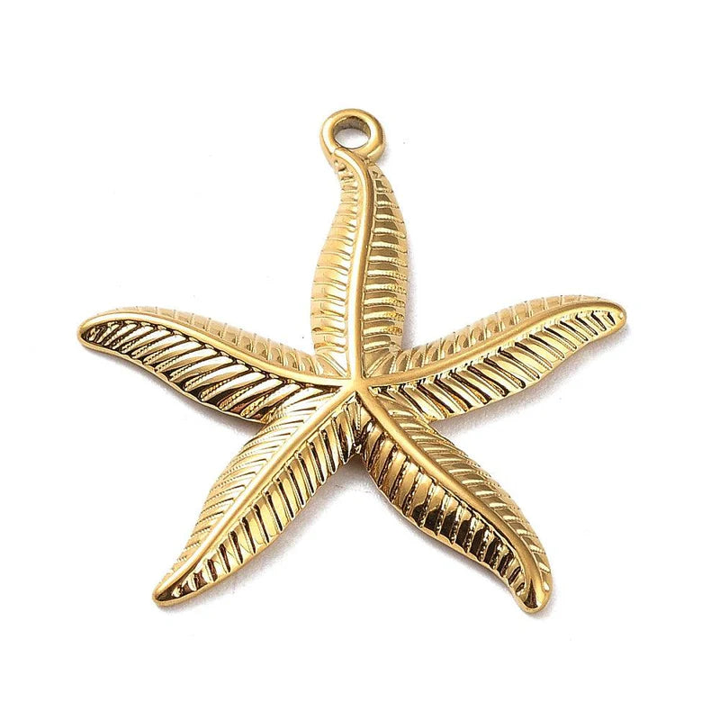 Beach starfish bedel