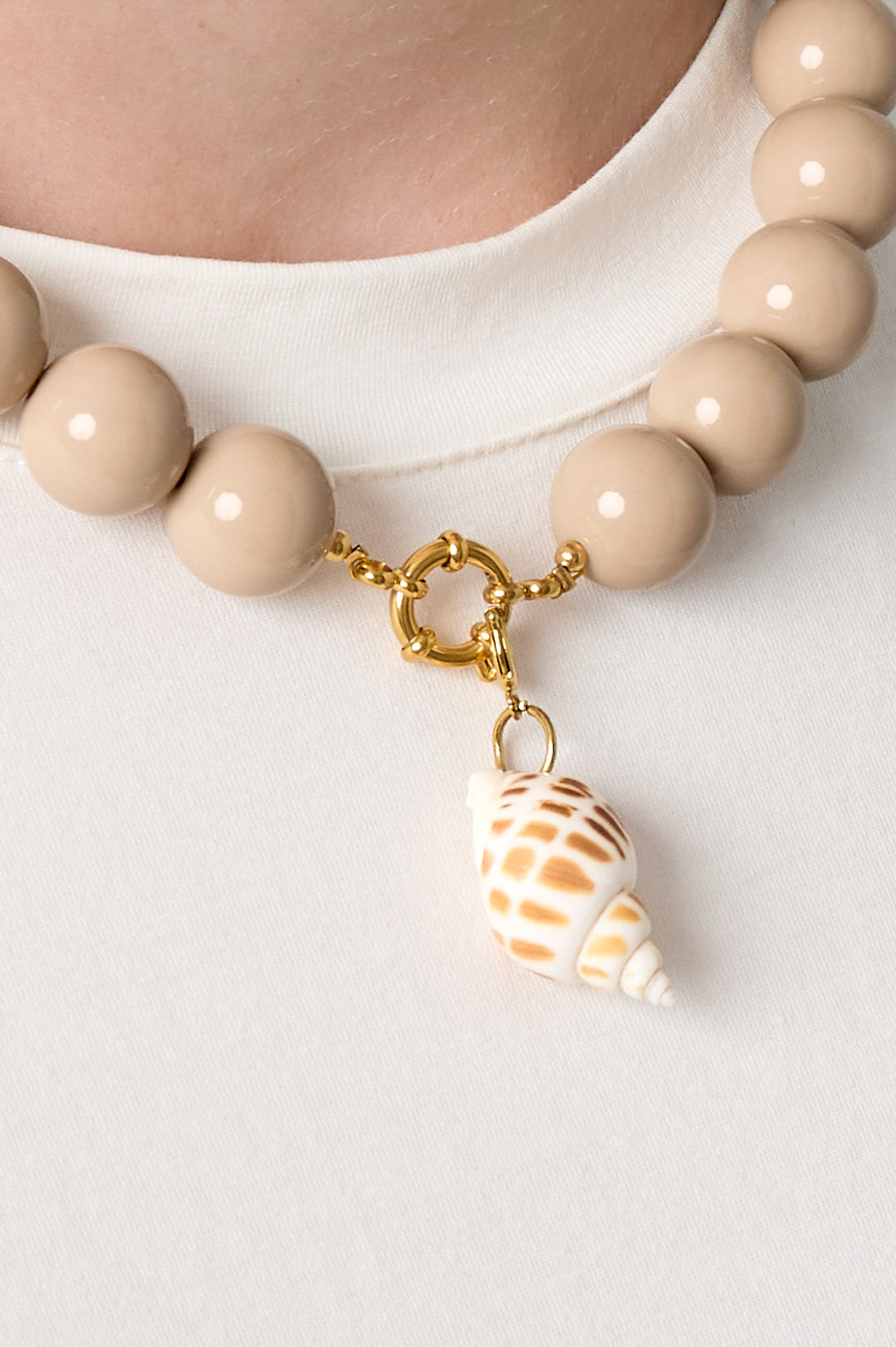 Schilpad shell bedel